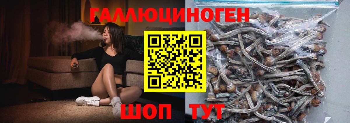 Галлюциногенные грибы прущие грибы Чебаркуль
