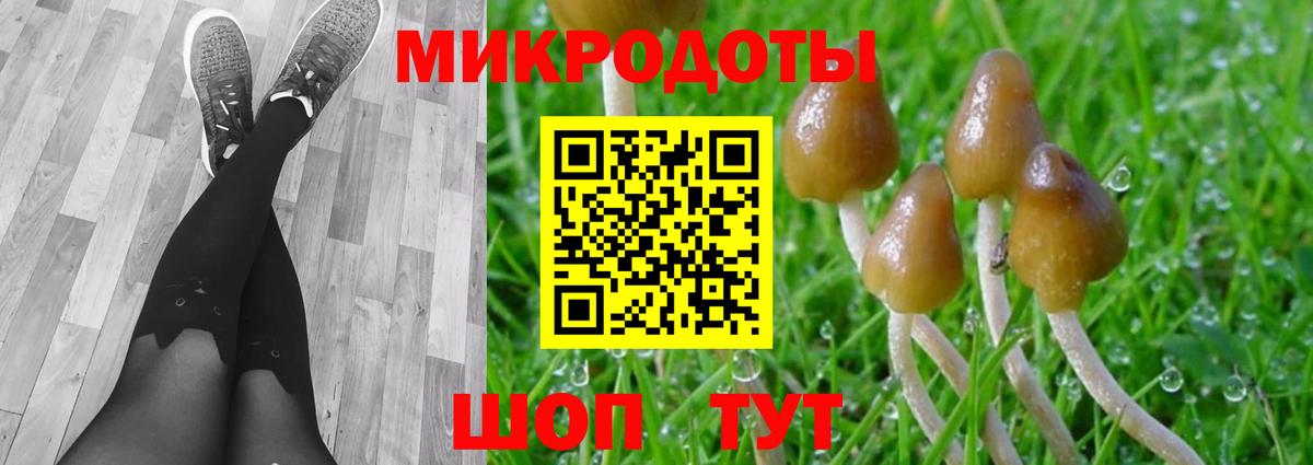 Чебаркуль  Псилоцибиновые грибы Magic Shrooms  Вход с VPN 